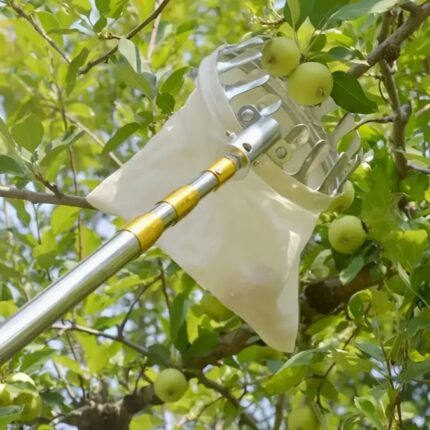 อุปกรณ์เก็บผลไม้สแตนเลส